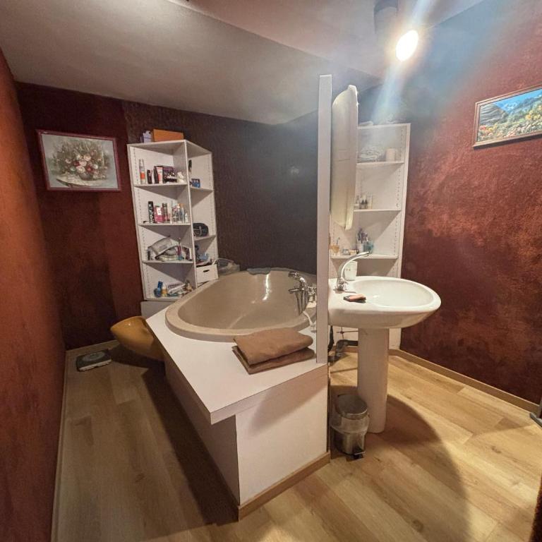Bel appartement bourgeois 170 m2 Proche gare et Place Stanislas, Nancy - Appartement - 13