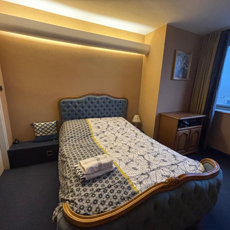 Bel appartement bourgeois 170 m2 Proche gare et Place Stanislas, Nancy - Appartement - 7
