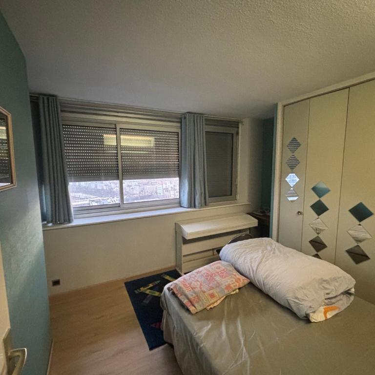 Bel appartement bourgeois 170 m2 Proche gare et Place Stanislas, Nancy - Appartement - 33