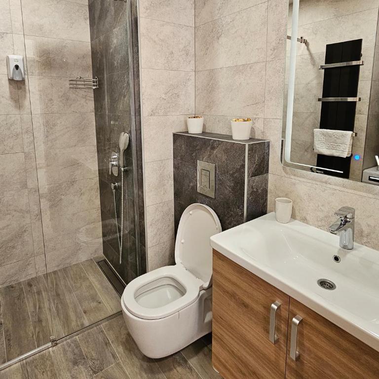 Happy Dreams Spa Zlatibor - Apartman s 1 Spavaćom Sobom i Terasom - 18