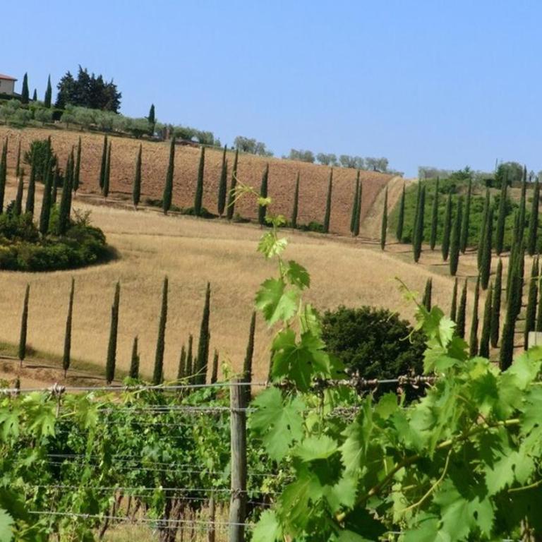Appartamento TEGRINO nell'antica dimora di Fulignano - Superior Apartment - 42