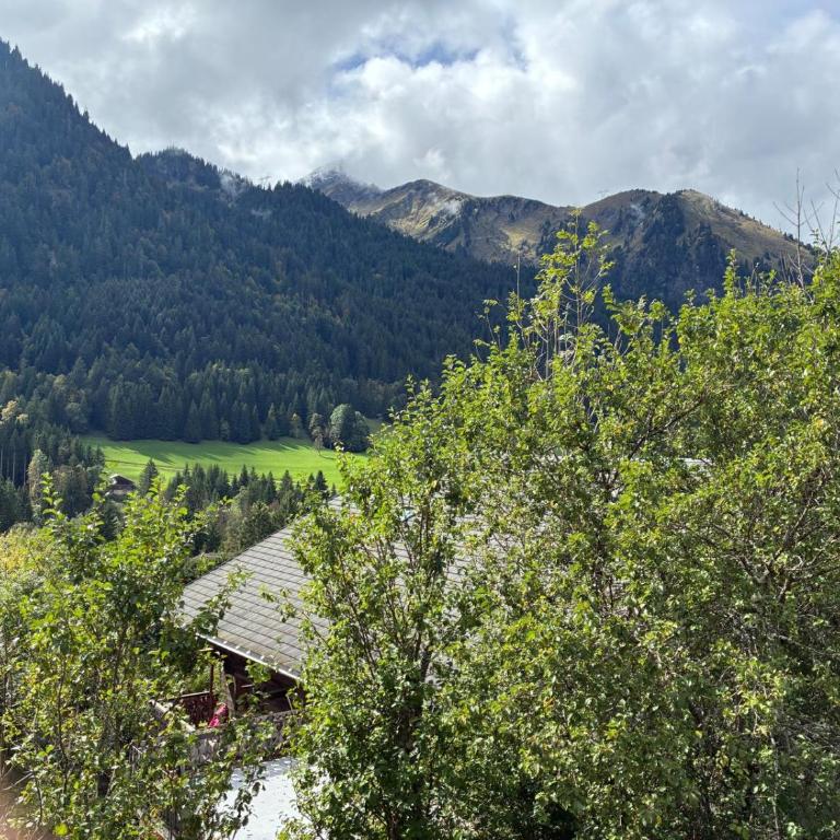 Chalet Papillon - Chalet - 5