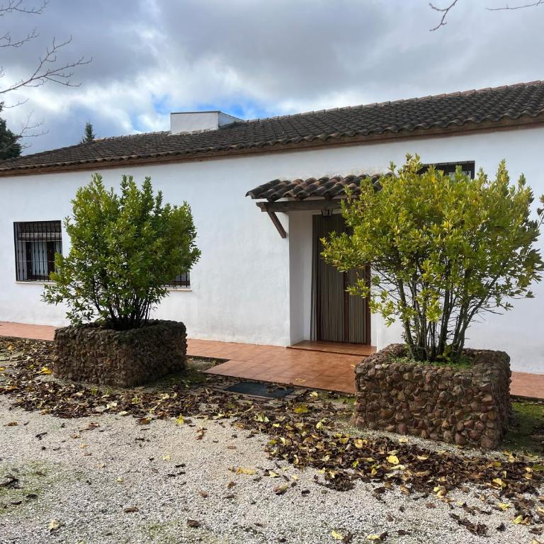 Casa Rural Piedras Negras, La Parchite, Ronda - Casa - 10