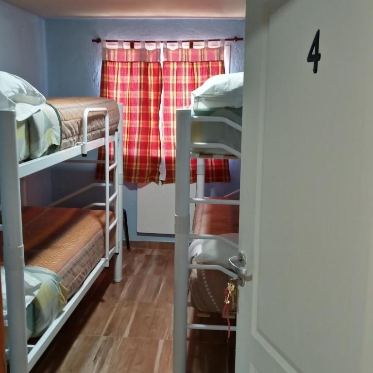 Los Milenarios - Cama en habitación compartida mixta de 4 camas - 1