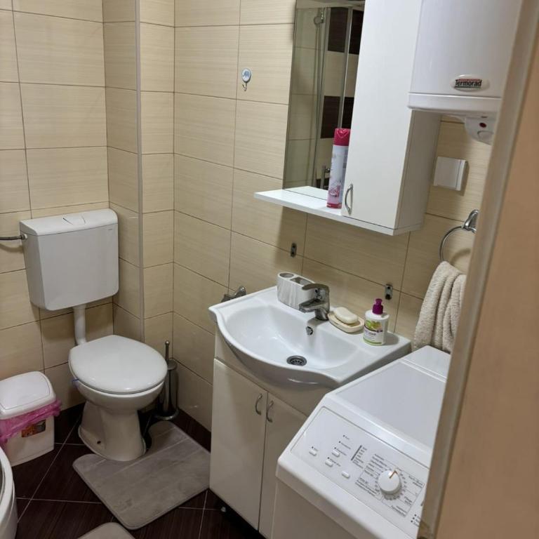Verdelite Apartment Zlatibor - One-Bedroom Deluxe Apartment - 11