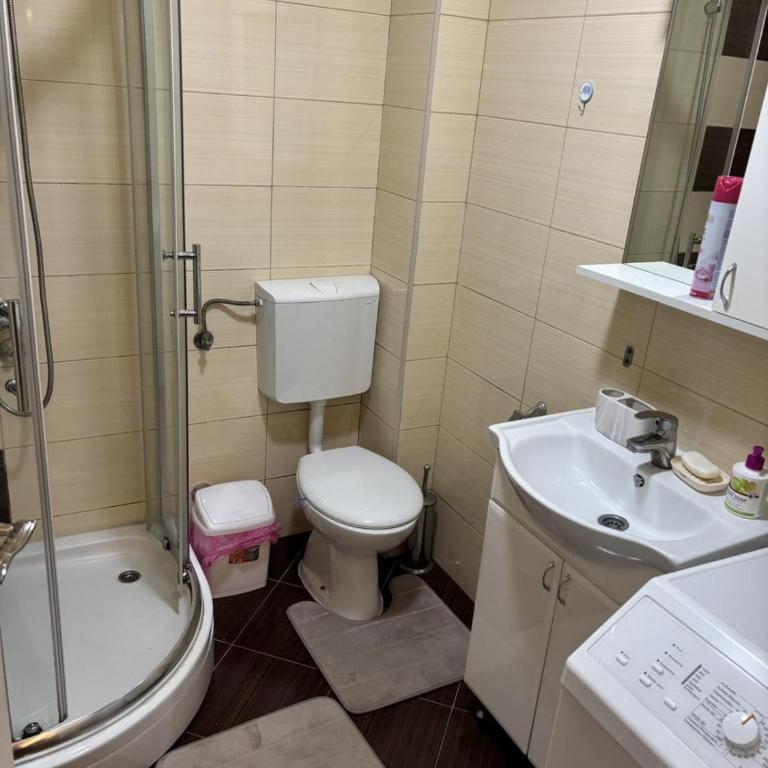 Verdelite Apartment Zlatibor - One-Bedroom Deluxe Apartment - 10