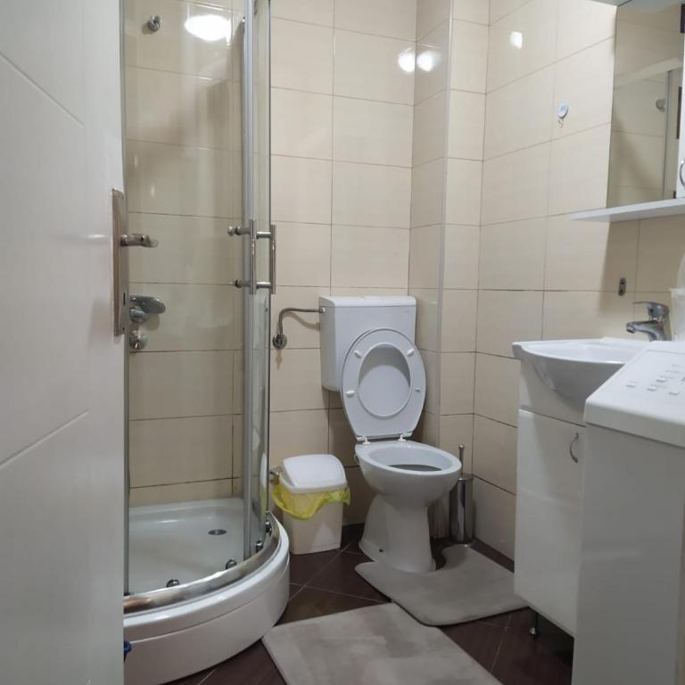 Verdelite Apartment Zlatibor - One-Bedroom Deluxe Apartment - 19