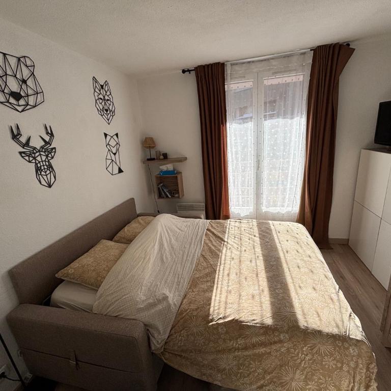 Studio Risoul 1850 - Appartement 2 Chambres - 4