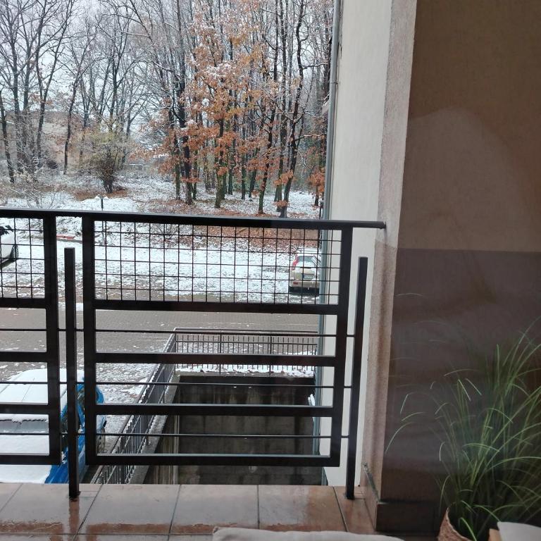 ROSA - Apartman sa Pogledom na Vrt - 30