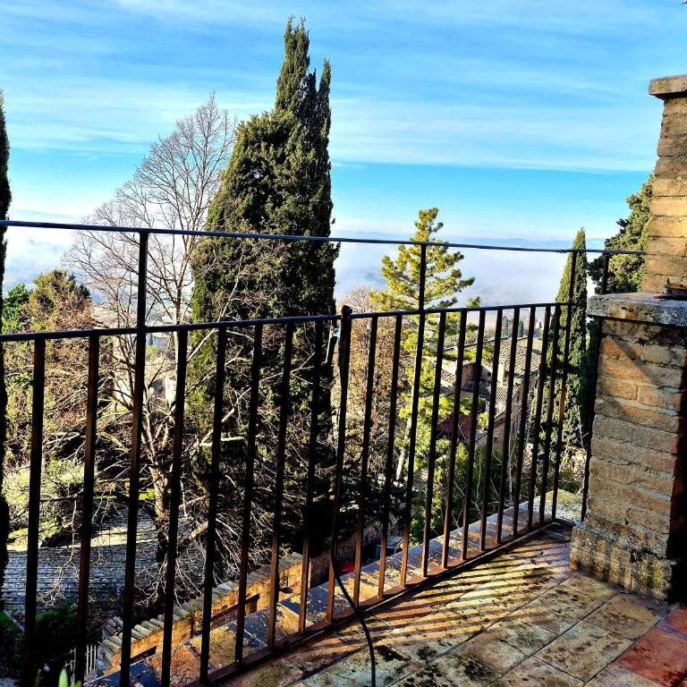 Brizi 5 - Appartamento - 1