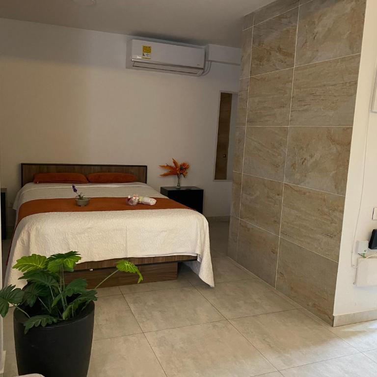 Apartaestudio Amoblado - Apartamento de 1 dormitorio - 3