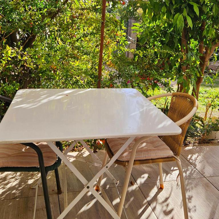 Studette indépendante et coquette avec terrasse sur jardin - Studio - 3