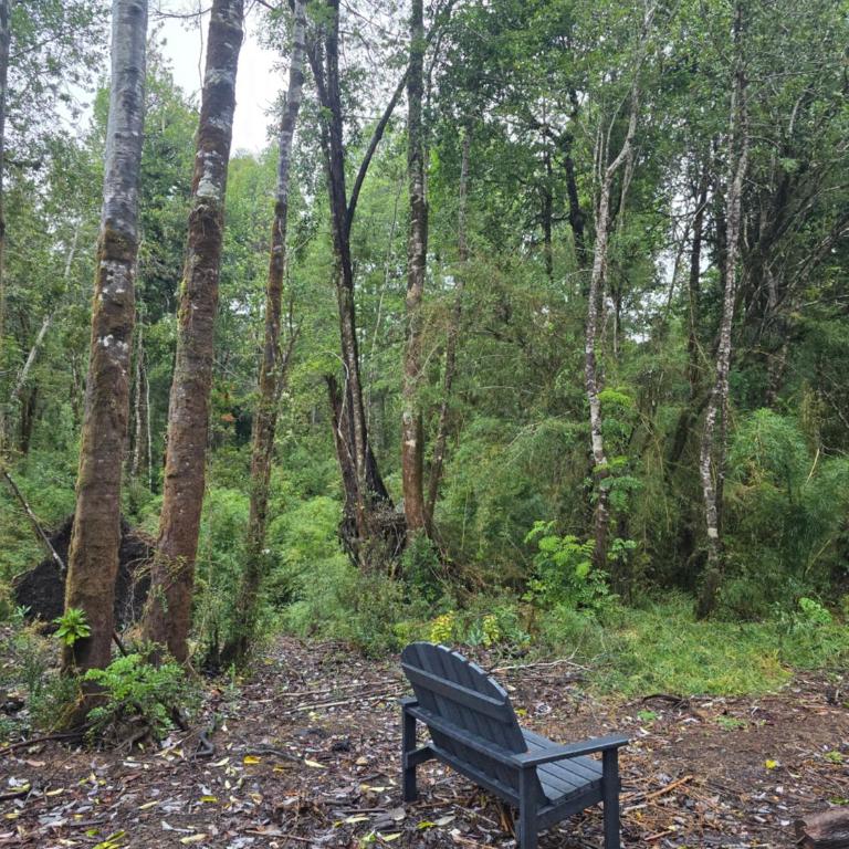 Refugio Ecos del Bosque - Two-Bedroom Chalet - 12