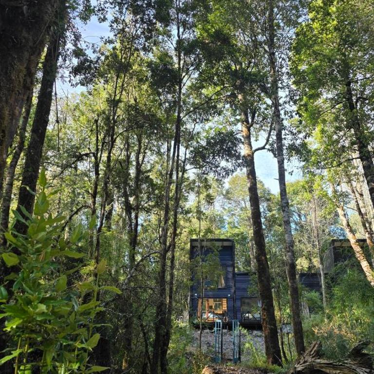 Refugio Ecos del Bosque - Two-Bedroom Chalet - 2