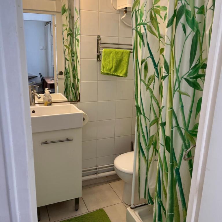 Joli petit duplex lumineux et au calme - Appartement 1 Chambre - 17