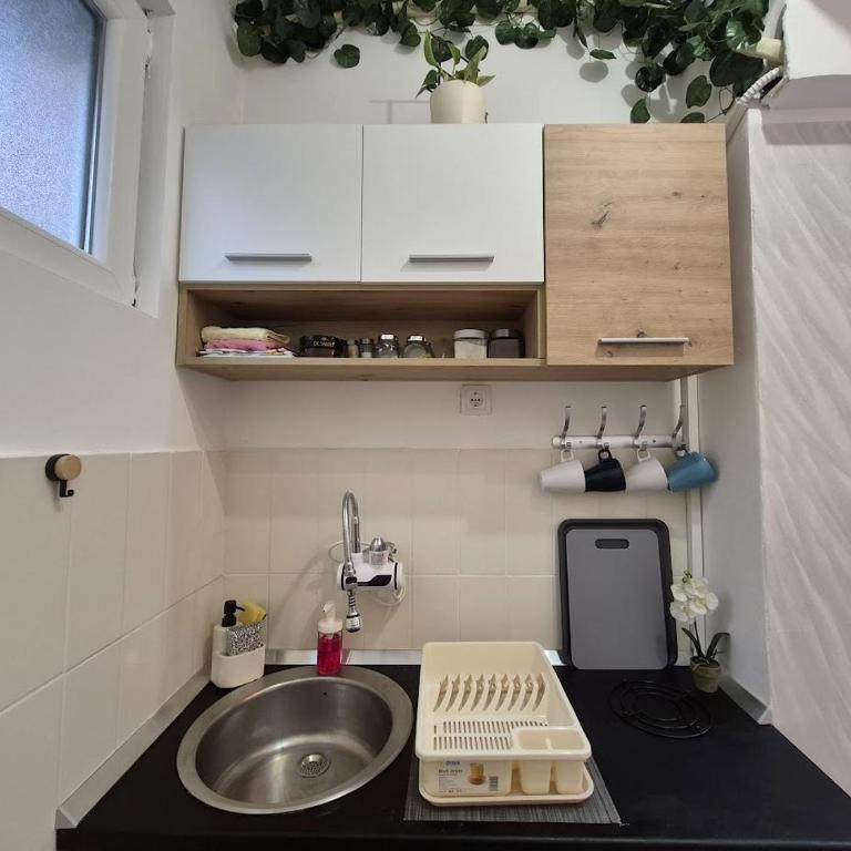 Vracar Cozy Nook - Apartman sa 2 Spavaće Sobe - 17
