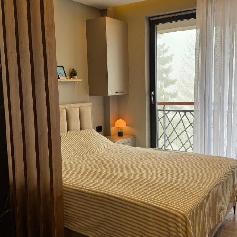 Pine apartments Residence Hill - One-Bedroom Apartment - 11