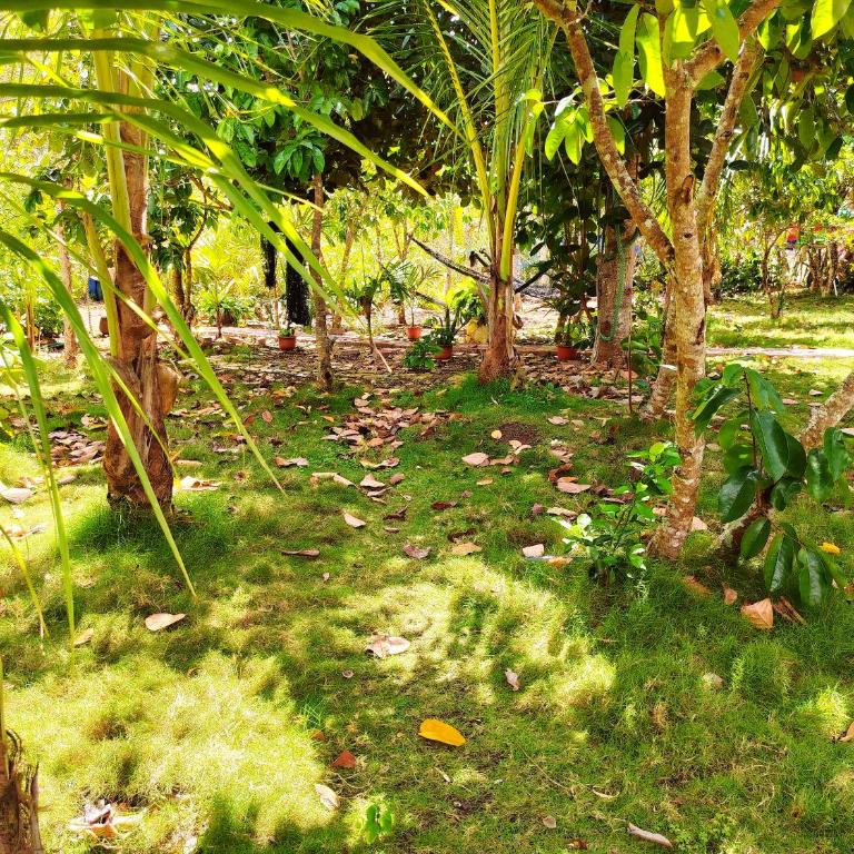 Homestay Natural Paradise habitación 1 - One-Bedroom Apartment - 11