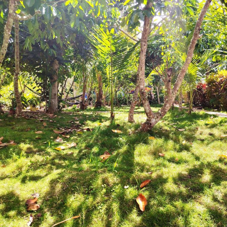 Homestay Natural Paradise habitación 1 - One-Bedroom Apartment - 10