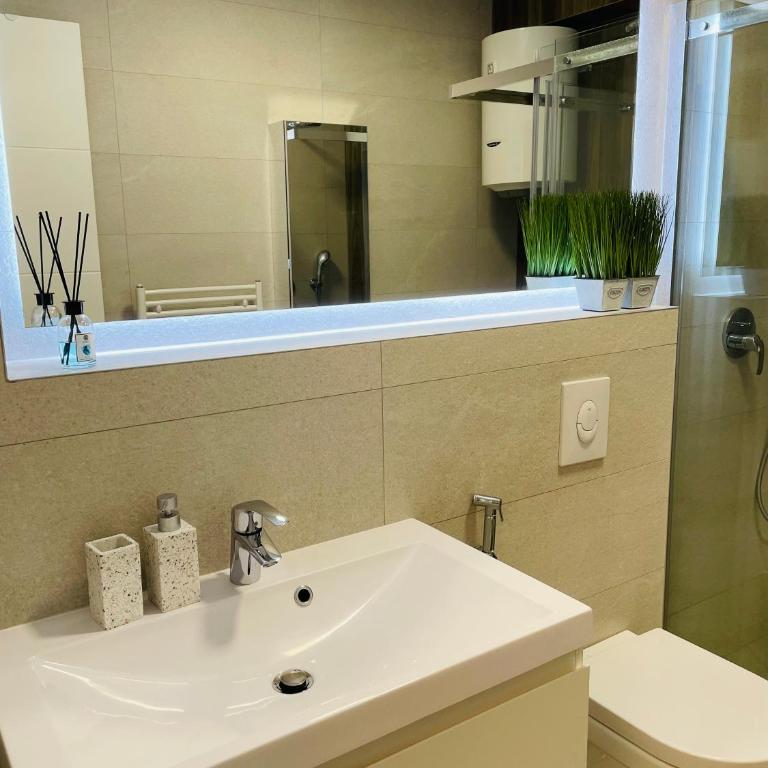 Dinka Apartments Park Lake - Apartman sa 2 Spavaće Sobe - 22