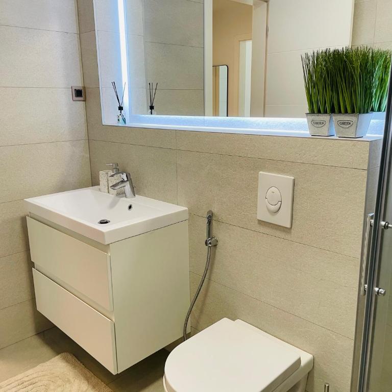 Dinka Apartments Park Lake - Apartman sa 2 Spavaće Sobe - 21