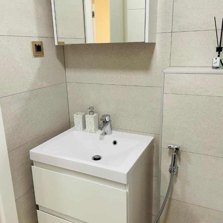 Dinka Apartments Park Lake - Apartman sa 1 Spavaćom Sobom - 17