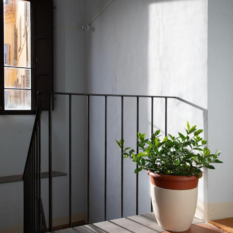 Palazzo Baronio- Casa di Olimpio - Appartamento con 2 Camere da Letto - 17