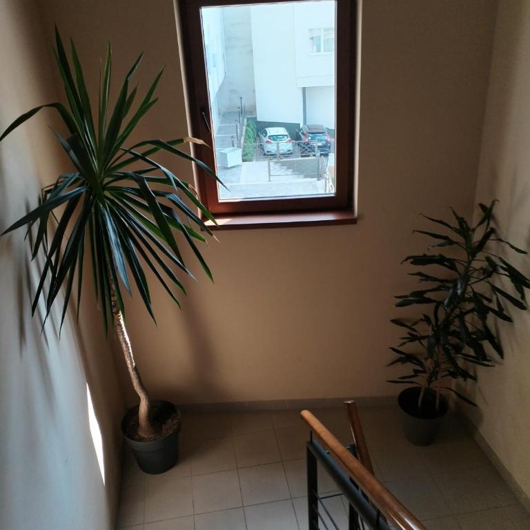 Apartman Besu - Apartman sa 1 Spavaćom Sobom - 11