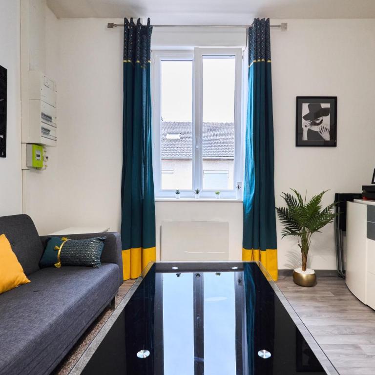 peaceful retreat & cozy apartment in reims , sleep4 ,near city center , free public parking - Appartamento con 1 Camera da Letto - 34