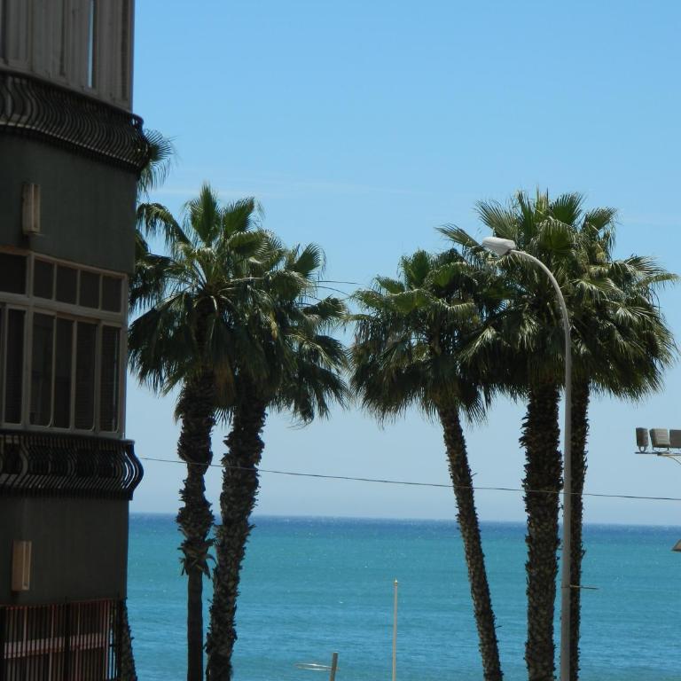 Apartamento Miramar - Apartamento con terraza - 29