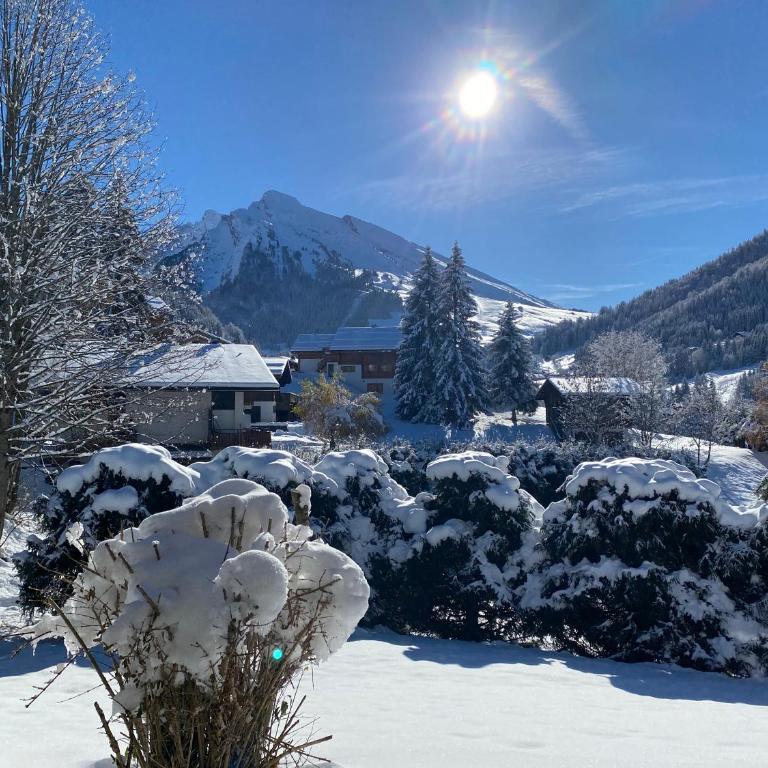 Val de neige - Appartamento con 2 Camere da Letto - 2