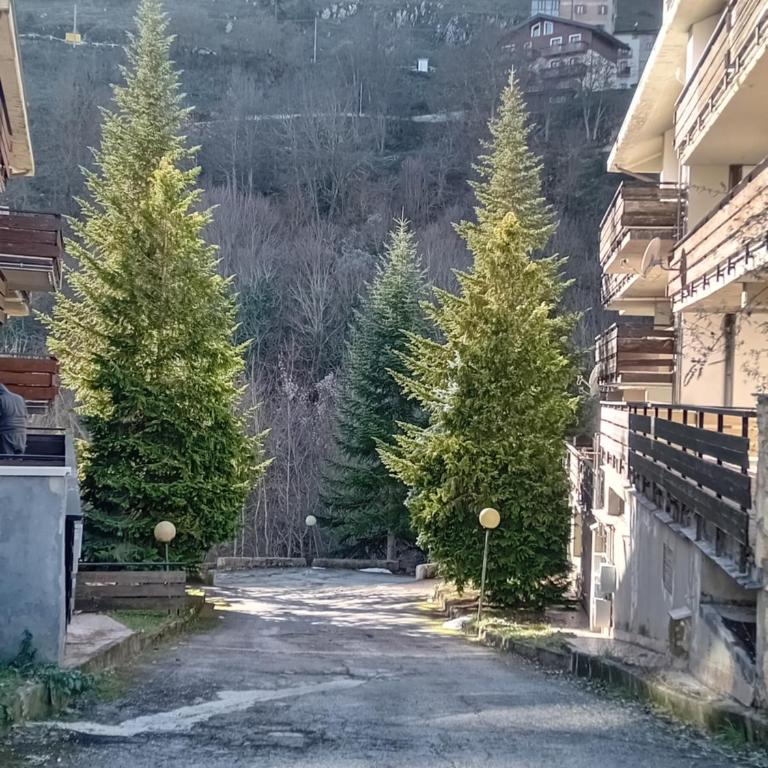 Luna Reale Roccaraso apt - Appartamento Deluxe con 2 Camere da Letto e Balcone - 46
