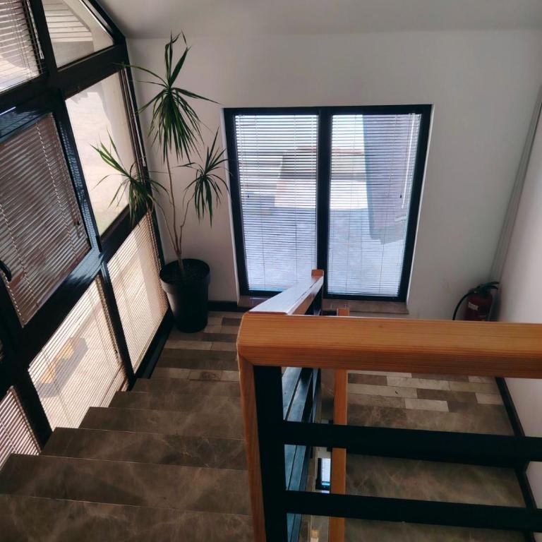 Apartman Aleksandra Zlatibor - Apartman sa 1 Spavaćom Sobom - 2