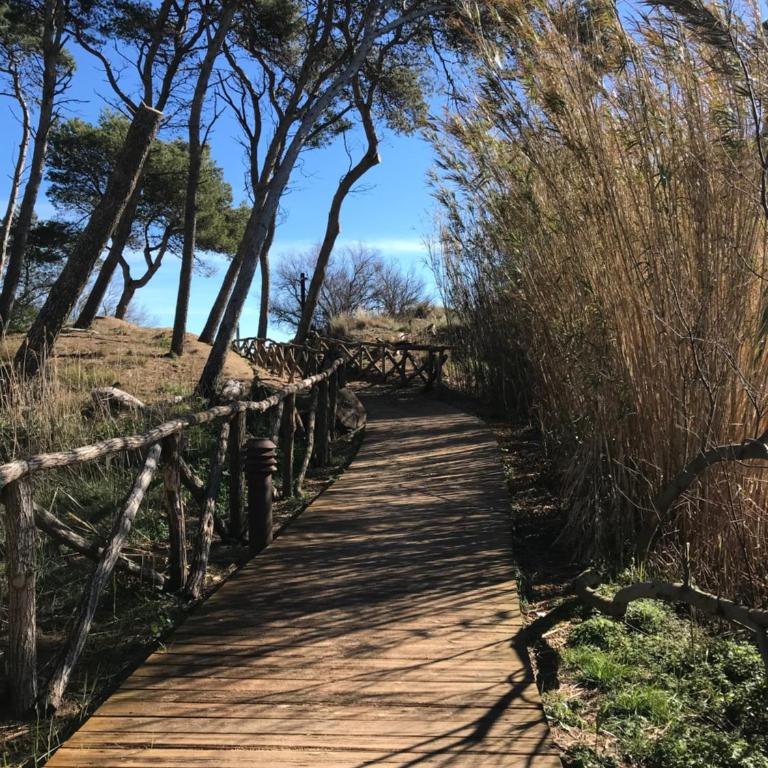 MAR I SOL - Casa acogedora y tranquila, reformada - Casa de 4 dormitorios - 38