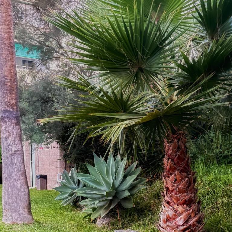 A paradise with sea views - Apartamento de 1 dormitorio - 21