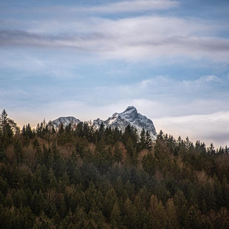 Bienenhaus #Bergblick im Sonnenhof - Apartment mit 1 Schlafzimmer - 24