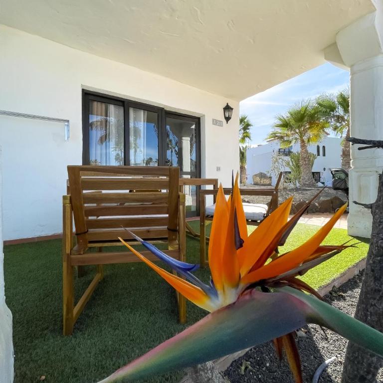 Oasis Dunas Sweet Family Home II Pool view by B-Rent - Apartamento de 1 dormitorio - 32