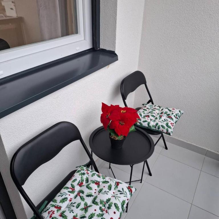 Koviljača apartman Demetrios - Apartman sa 1 Spavaćom Sobom - 10