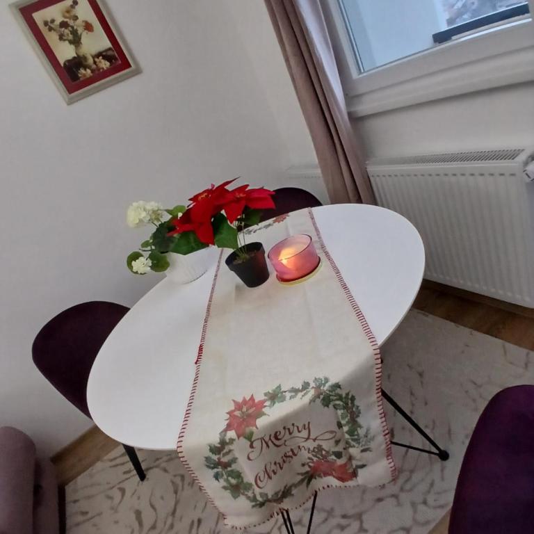 Koviljača apartman Demetrios - Apartman sa 1 Spavaćom Sobom - 16