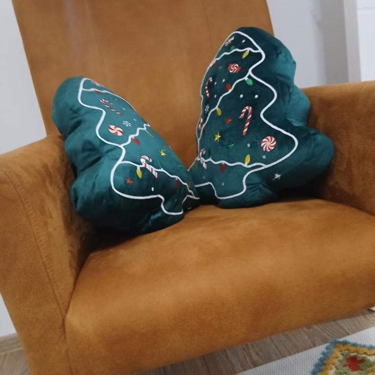 Koviljača apartman Demetrios - Apartman sa 1 Spavaćom Sobom - 17