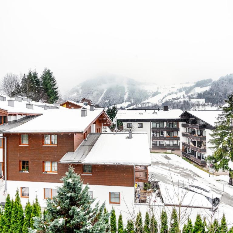 Alpine Escape with Kitzsteinhorn View - Studio mit Bergblick - 11