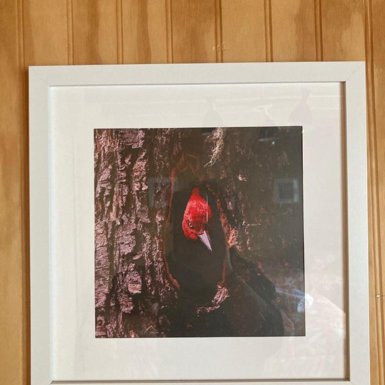 La Otra Orilla Hostal - Cama individual en habitación compartida - 5