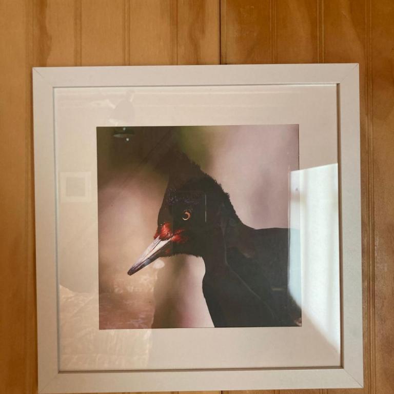 La Otra Orilla Hostal - Cama individual en habitación compartida - 6