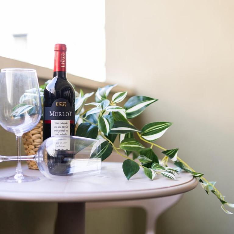 Salamanca Luxury Homes - Apartamento de 3 dormitorios con balcón - 40