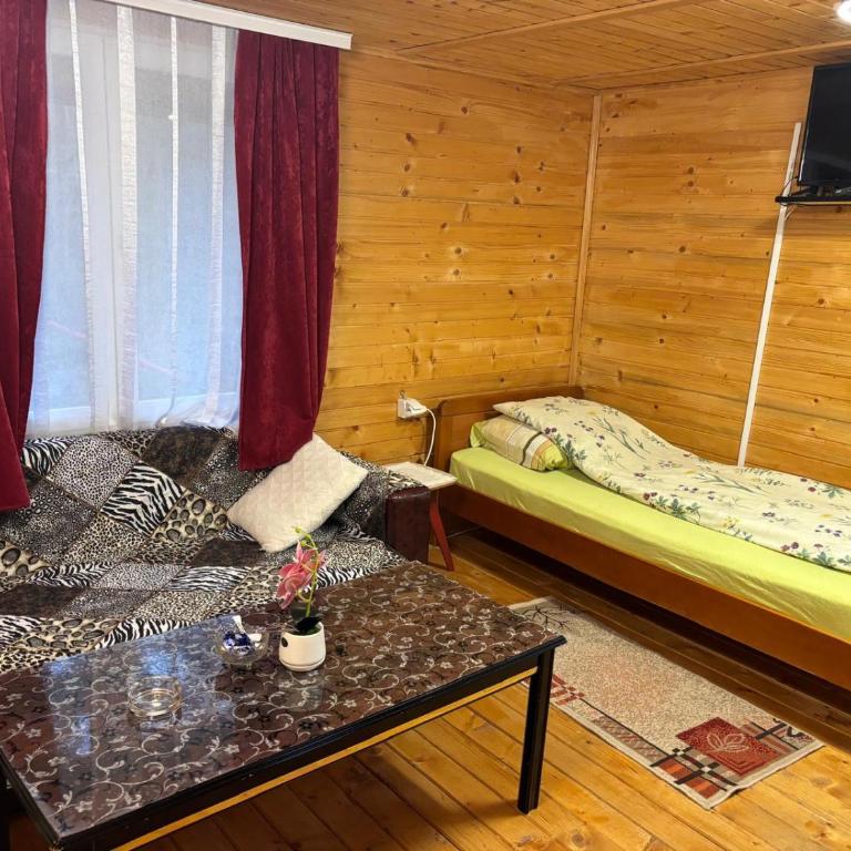Apartman Jana - Apartman sa 1 Spavaćom Sobom - 9