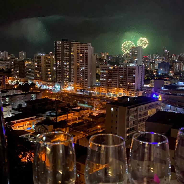 Hermoso y moderno departamento, nuevo, a pasos de la Quinta Vergara, cercano a los mejores atractivos de viña del mar, con maravillosa vista - Apartamento de 1 dormitorio - 1