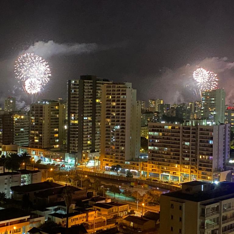 Hermoso y moderno departamento, nuevo, a pasos de la Quinta Vergara, cercano a los mejores atractivos de viña del mar, con maravillosa vista - Apartamento de 1 dormitorio - 32
