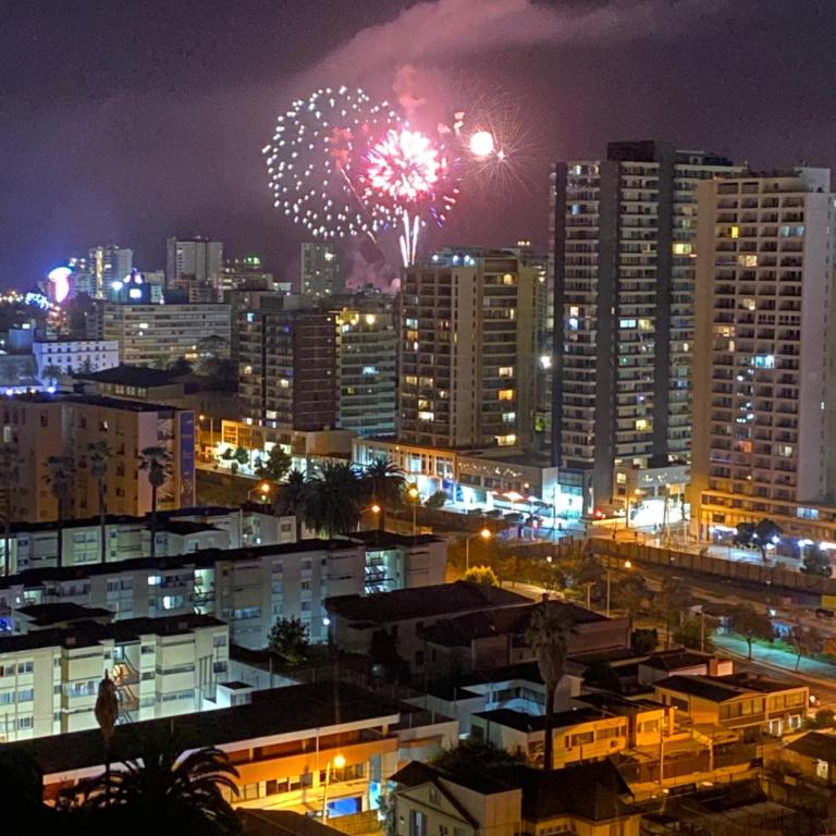 Hermoso y moderno departamento, nuevo, a pasos de la Quinta Vergara, cercano a los mejores atractivos de viña del mar, con maravillosa vista - Apartamento de 1 dormitorio - 16