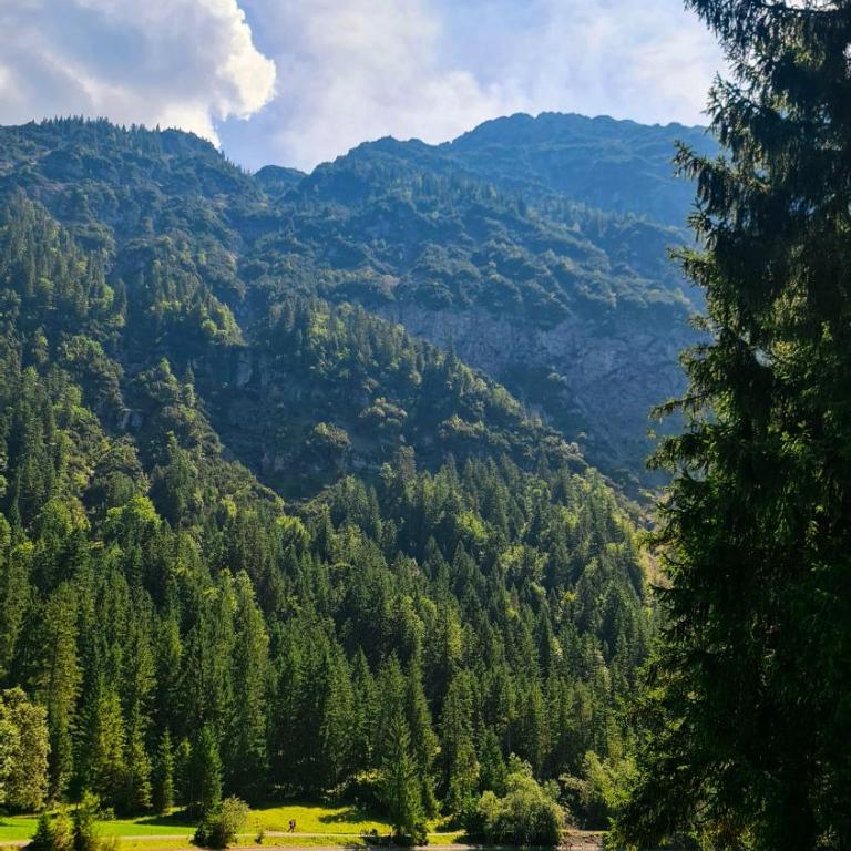 Gallery Garden Apartment - Three-Bedroom Apartment with Mountain View - 27