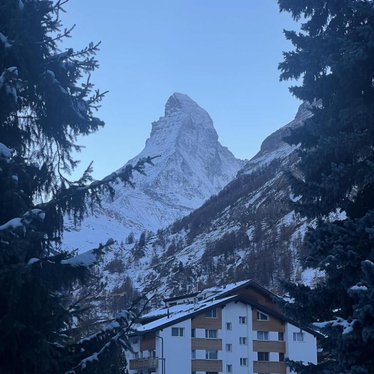 Cosy Modern Alpine Residence - Apartamento de 1 dormitorio - 23